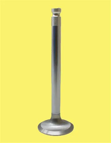 Subap Emme Egzoz PARTNER 2.0 HDİ - P206-P306-P406 HDI 8V IN-4/EX-4
