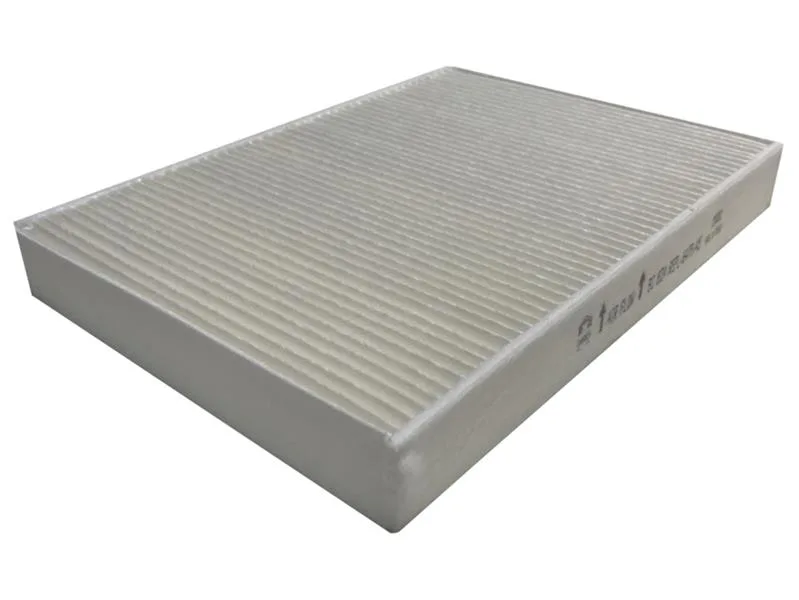 Polen Filtresi P407 C5 2004-2008
