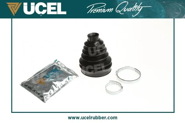 Aks Körüğü Renault Megane 2 2002 Laguna 2 2001-2007 Clio 3 2005 Dacia Logan 2006