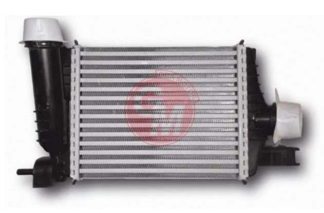 Turbo Radyatörü Clio 5 2019 1.3TCE H5H Captur 2 2020 Duster 2 2018 1.0 Tce Brazing 50 MM