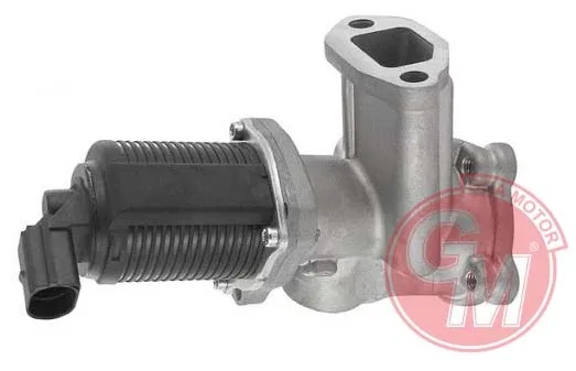 EGR Valfi 500-500C - Idea - Panda - Musa 02/2004 12/2012