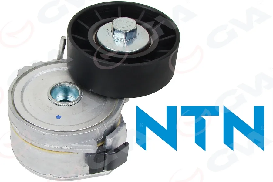 Alternatör Gergi Rulmani Kütüklü P206-306-406-607-806-PARTNER - BOXER - C5-BERLINGO DW10 2.0HDI-2.2HDI