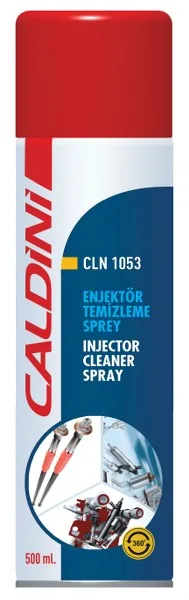 CALDINI 500 ML Enjektor Temızleme Sprey (24 Adet)
