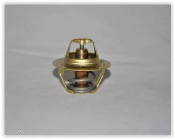 Termostat 89 C Megane 1 - 2 - R19-CLIO 2 - Kangoo - Laguna 1 - 2 1.4 -1.6-1.8- 1.9 D - 2.0