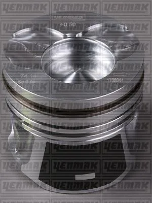 Piston Segman Fiesta / Fusion / Bıbper / Memo / C2/C3/206/307 1.4 Tdci / HDİ 68 PS DV4 Euro 4 STD Çap: 73. 7 MM (4 Adet)