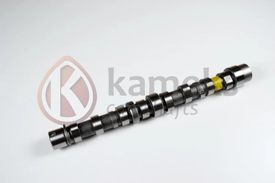 Eksantrik Mili Emme Bipper 2010 NEMO 2010 DOBLO 2010 Egea 2016 Punto 2012 500 L 2012 95BG 1.3 JTD EURO5 Döküm