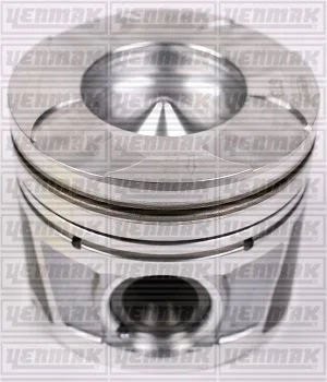 Piston Segman STD 79.50MM Egea 2016 DOBLO 2010-2023 Linea 2009 500X 2014 Giulietta 2010-2018 Renegade 2014 C Ombo 2010 Vitara 2015 1.6D M.Jet (4 Adet)