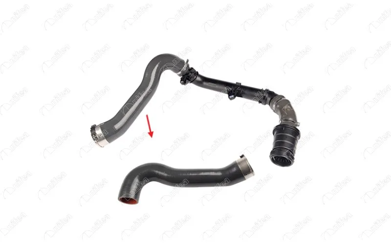 Turbo Hortumuplastik Boru Hariç Ok İle Gösterilen büyük Hortum Renault Espace 5 JR 1.6DCİ 130 2015