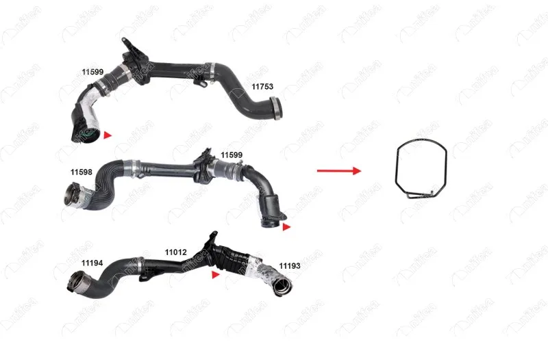 Sekmanlar ve Klipsler Fluence - Kangoo - Megane 3 1.5DCI (5 Adet)