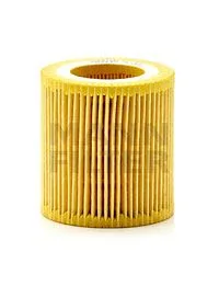 Yağ Filtresi F22M2-F30M3-F33-M4 2010