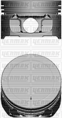 Motor Piston Segman STD P106-P206-P306-P307-P308-PARTNER - BERLINGO - C2-C3-C4-XSARA TU5JP4 1.6 16V Tepe Yük 0.15 MM 109 KW (4 Adet)