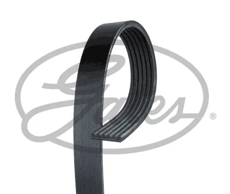 Kanalli Kayıs Opel - Chrysler - Dacia - Dodge - Ford - Hyundai - KIA - Mazda - Renault - Toyota