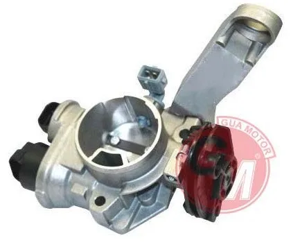 Gaz Kelebeği Renault Clio 2 1998 Kangoo 2001 Twingo 1996 1.2 D7F
