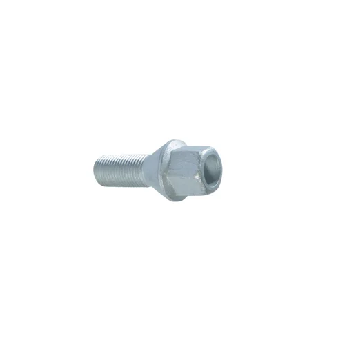 Bijon Saplaması DUCATO - BOXER - JUMPER - Karsan Jest 2006 21MM Delikli Tip Yeni Model. (10 Adet)