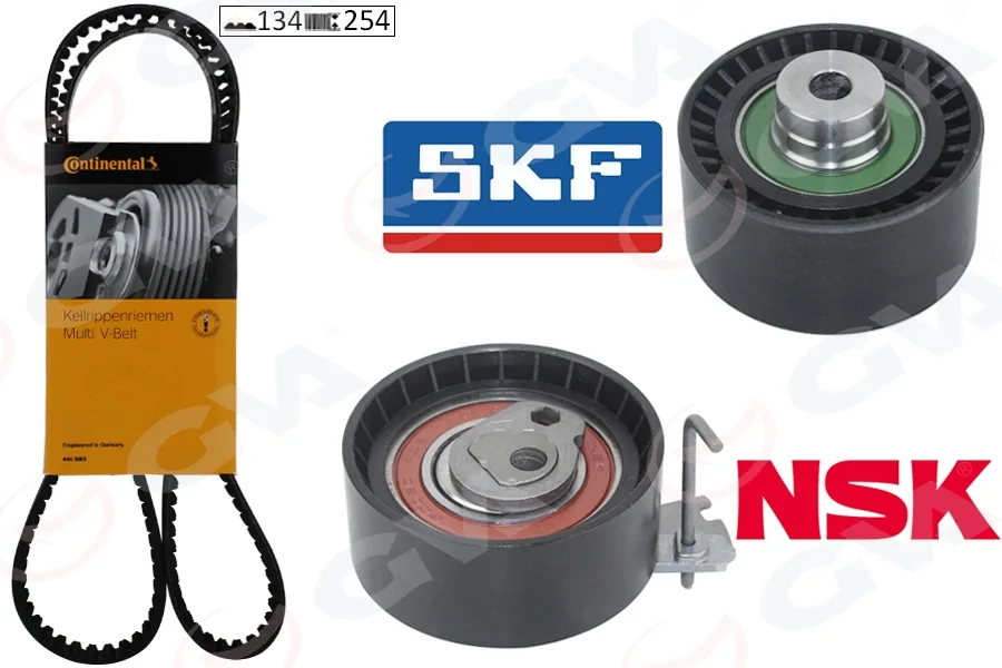 Eksantrik Gergi Kiti P206-207-307-308-PARTNER - C2-C3-C4-XSARA - BERLINGO 1.6-1.6 16V TU5JP4 K025581XS DFM Succe 1.6 16V 2009-2013 TU5JP4